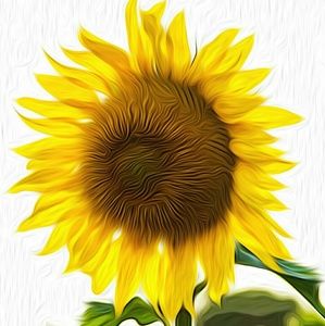 Meet your Posher, Ramos